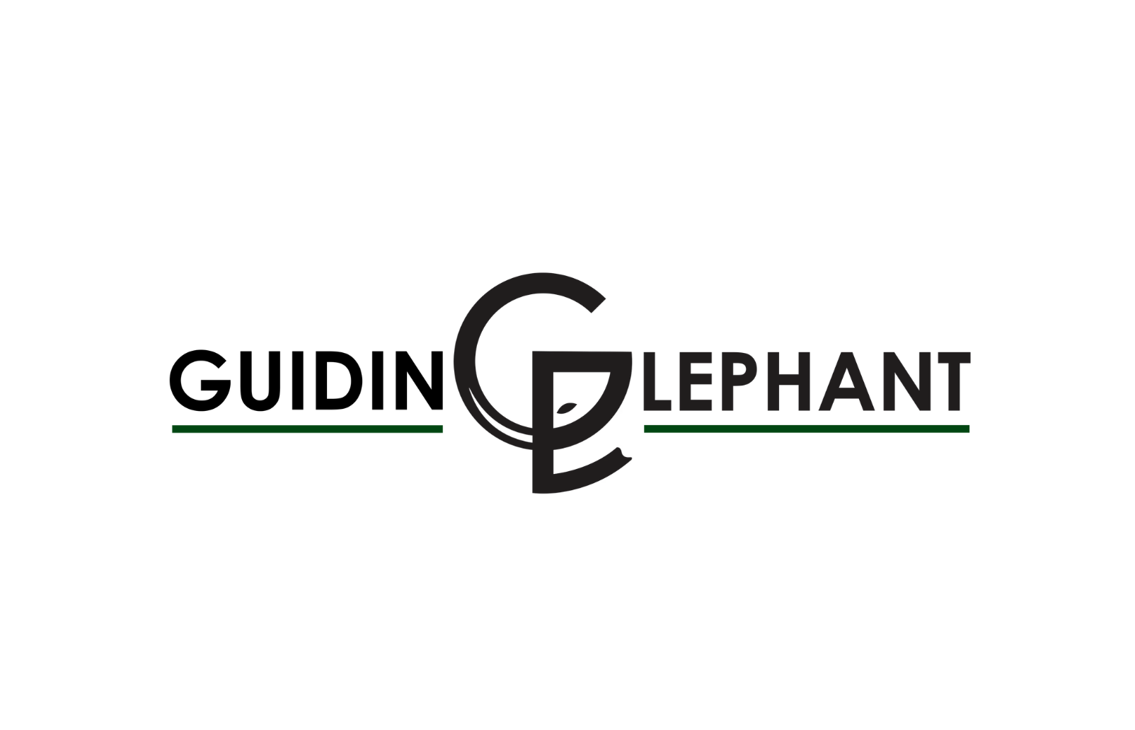 Guiding Elephant