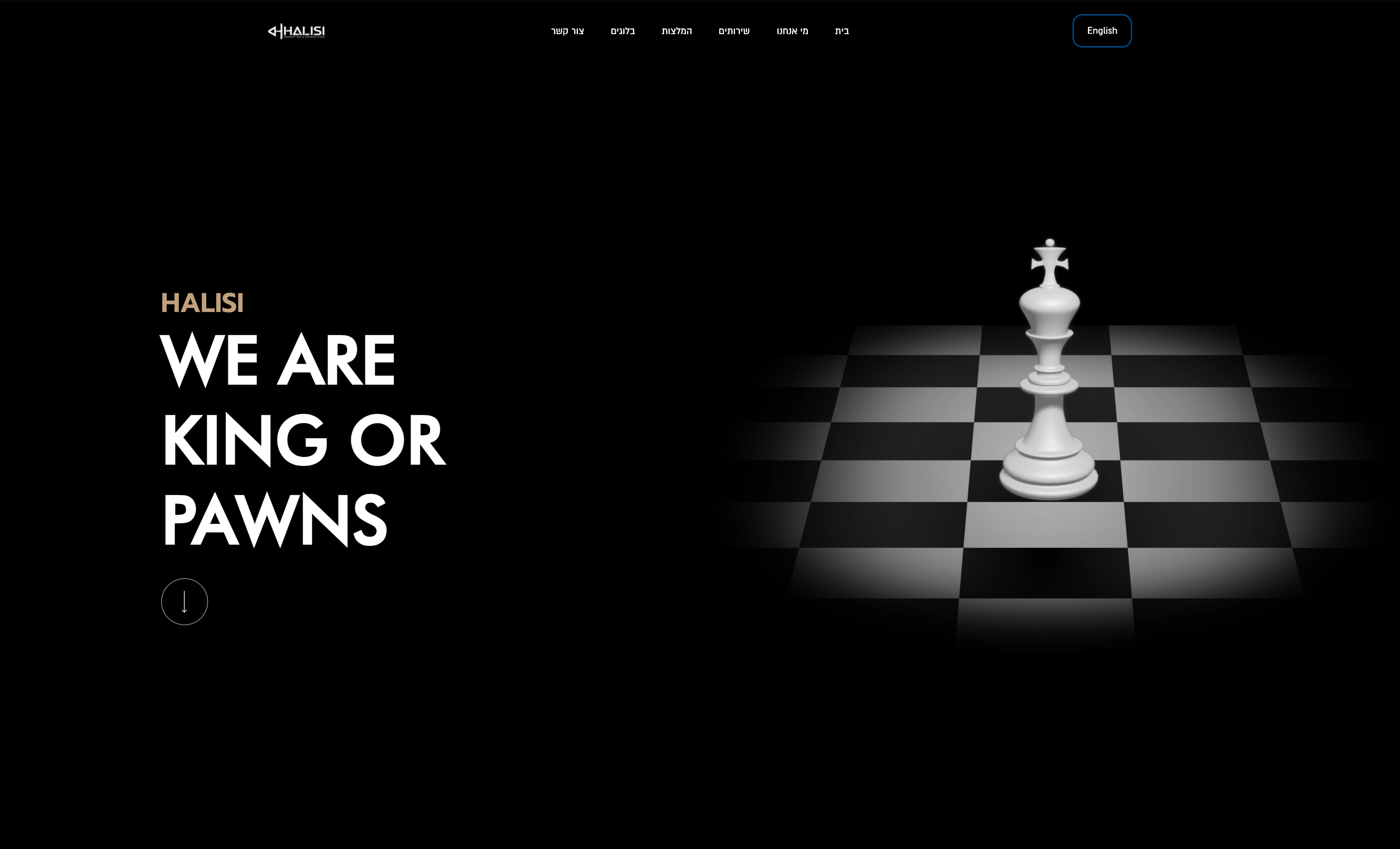 Halisi Marketing · Home