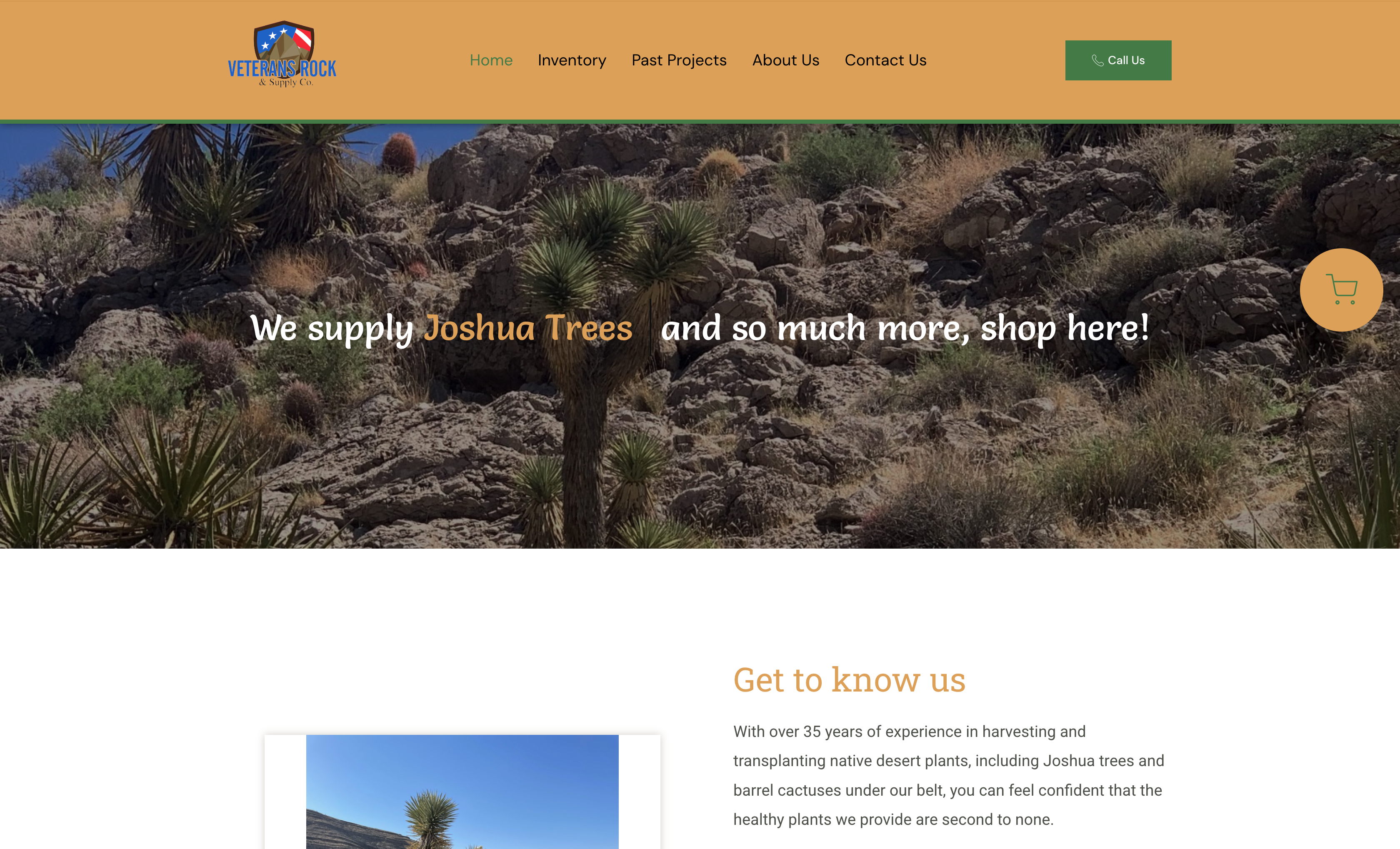 Joshua Trees · Storefront