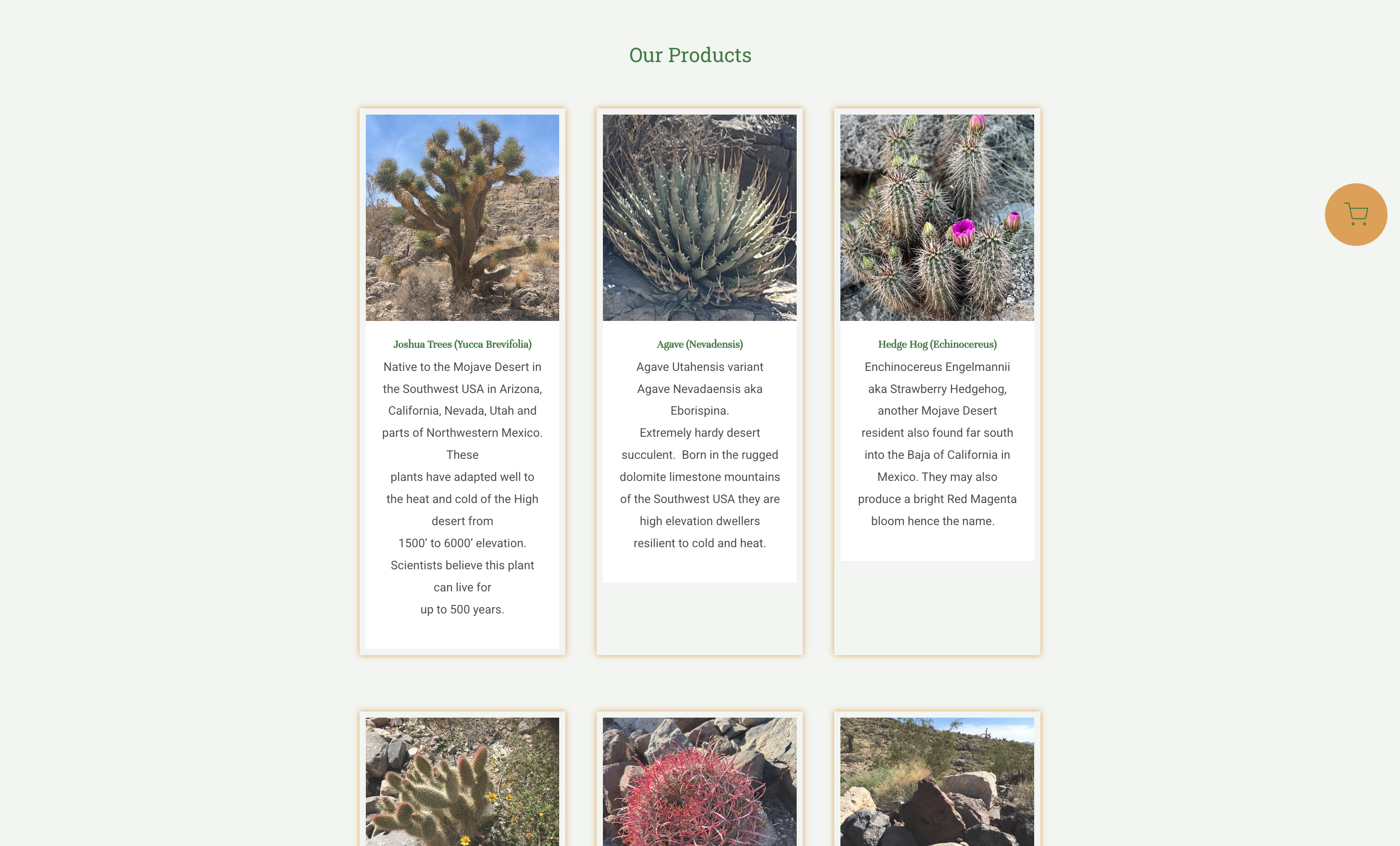 Joshua Trees · Orders